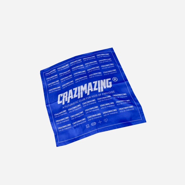 Accessories SCARF | BLUE