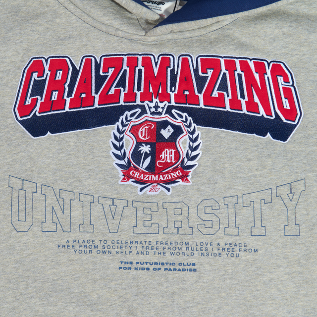 CRAZIMAZING UNIVERSITY HOOD | GREY