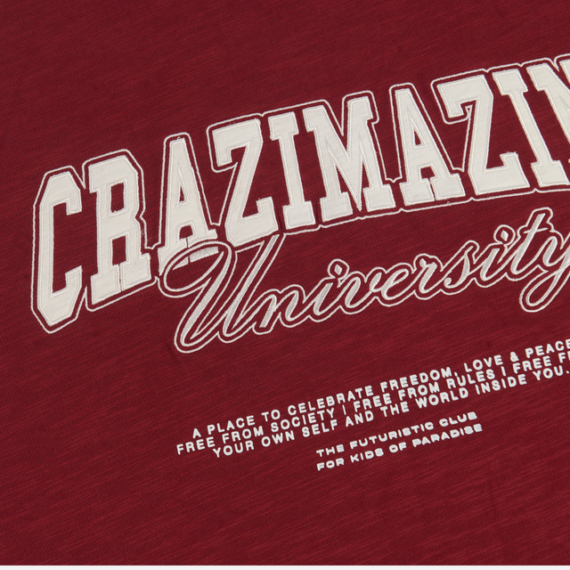 CZ UNIVERSITY SWEATER | MAROON