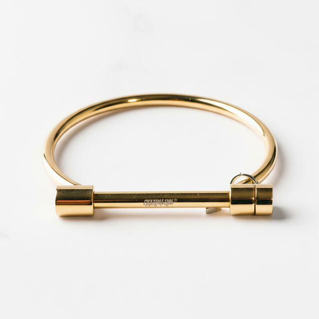 Crazimazing D Twist Bracelet in 18K Gold Plated Stainless Steel